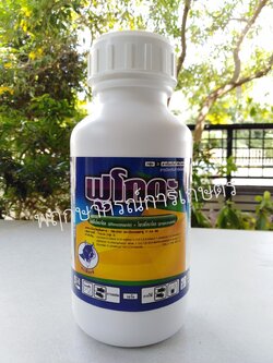 ฟูโกดะ 250 ซีซี