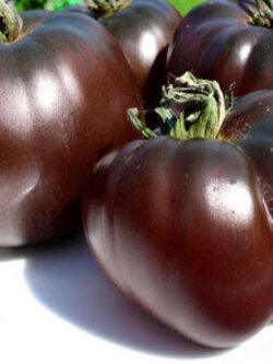 มะเขือเทศ สีดำ (Black Tomato) / 60 เม็ด (UK)