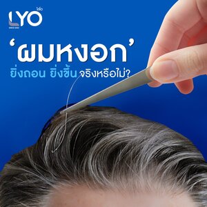 ผมหงอก ยิ่งถอน ยิ่งขึ้น จริงหรือไม่?