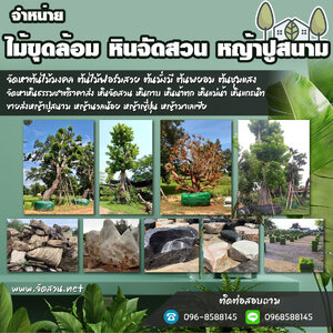 ขายส่งหินจัดสวน โทร 096-8588145 หินธรรมชาติจัดตกแต่งสวน หินกาบ หินทราย หินเกล็ด หินแกรนิต