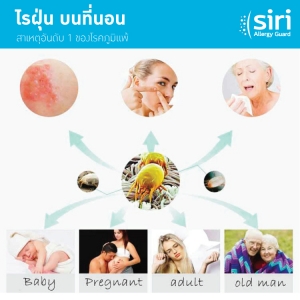 ทำไมคนทั่วโลกถึงนิยมใช้ "ผ้าปูที่นอนกันไรฝุ่น"