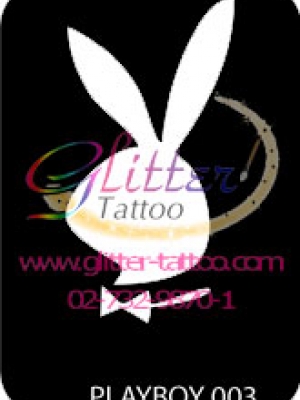 แบบลายเพลย์บอย ขนาด 7 X 9.5 cm.