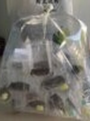 พ่อแม่พันธุ์ ปูนา