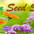ร้านgreenseedshop ร้านgreenseedshop