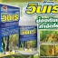 วินเร่