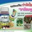 พาบินส์ 250 ซีซี
