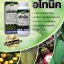 อโทนิค 500 ซีซี