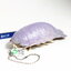 [มือสอง] กาชาปองพวงกุญแจ Isopod ตัวใหญ่ สีม่วงอ่อน - Gashapon Kitan Club Nature Techni Colour Isopod