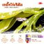 ฮาชิ ฮาชิ 250 ซีซี