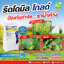 ริดโดมิลโกลด์ เอ็มแซด 68 ดับบลิวจี