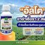 อัลโต 100 ซีซี
