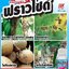 ฟราวไซด์ 500 ซีซี
