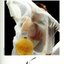 [Vintage] Nina Ricci NINA Parfum Pour Le Sac 7.5ml Spray แบบสเปรย์ - น้ำหอม Vintage