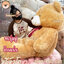 ตุ๊กตาหมี หัวโต Teddy ตัวใหญ่ อ้วน ขนนุ่มฟู size160cm ( สีน้ำตาลอ่อน ) โบว์แดง - ตุ๊กตา หมี อ้วน นุ่ม