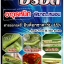 อีรอส