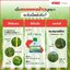 พรีวาธอน 1 ลิตร
