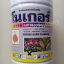 โนเกอร์ (สีขาว)