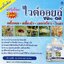 ไวต์ออยล์