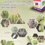 เท็ปเปกิ 250 กรัม