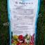 กรีนลีฟส์ 30-20-10