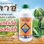 คาซู่