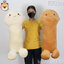 ตุ๊กตากะจู๋ นุ่มนิ่ม Size 100cm ใยนุ่มนิ่มแท้ 100% มีให้เลือก 2สี น้องจู๋ กะจู๋