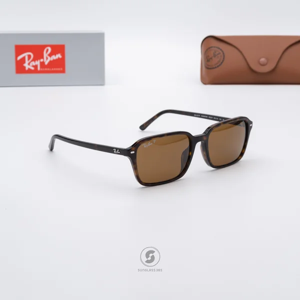 แว่นกันแดด Ray-Ban Raimond RB2231F 902/57 Havana / Brown Polarized image 4 แว่นกันแดด Ray-Ban Raimond RB2231F 902/57 Havana / Brown Polarized image 4