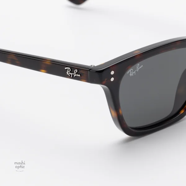 แว่นกันแดด Ray-Ban Zaya RB4456F 135987 Havana / Dark Grey image 8 แว่นกันแดด Ray-Ban Zaya RB4456F 135987 Havana / Dark Grey image 8