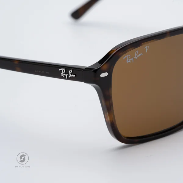 แว่นกันแดด Ray-Ban Raimond RB2231F 902/57 Havana / Brown Polarized image 7 แว่นกันแดด Ray-Ban Raimond RB2231F 902/57 Havana / Brown Polarized image 7