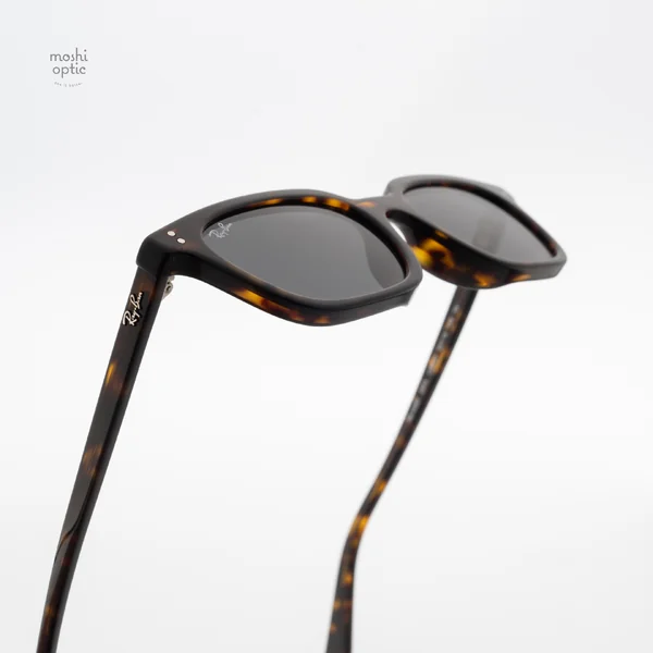 แว่นกันแดด Ray-Ban Zaya RB4456F 135987 Havana / Dark Grey image 6 แว่นกันแดด Ray-Ban Zaya RB4456F 135987 Havana / Dark Grey image 6